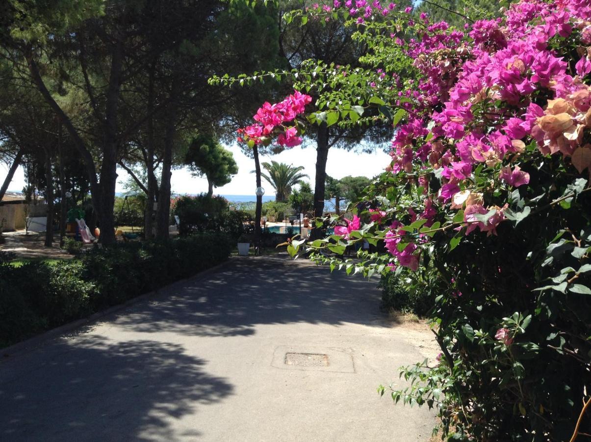 Deliziosa Villa 150 Metri Dal Mare Quartu SantʼElena Eksteriør bilde